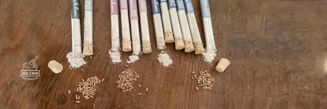Verschiedene Mehl Typen von Roggen, Dinkel und Weizen