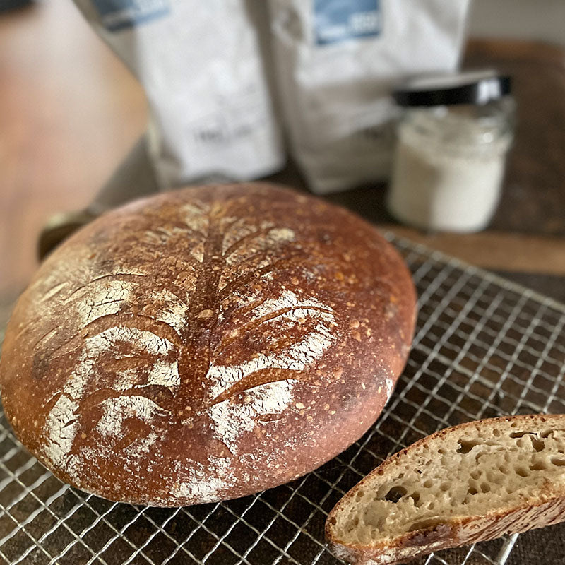Roggenbrot mit schonend vermahlendem Mehl des Backshop Mehl & Mehr
