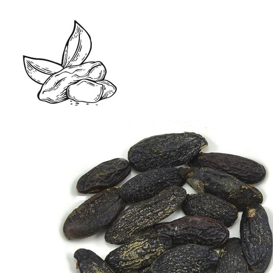 ganze Tonkabohnen zum Verfeinern von Desserts in höchster Qualität